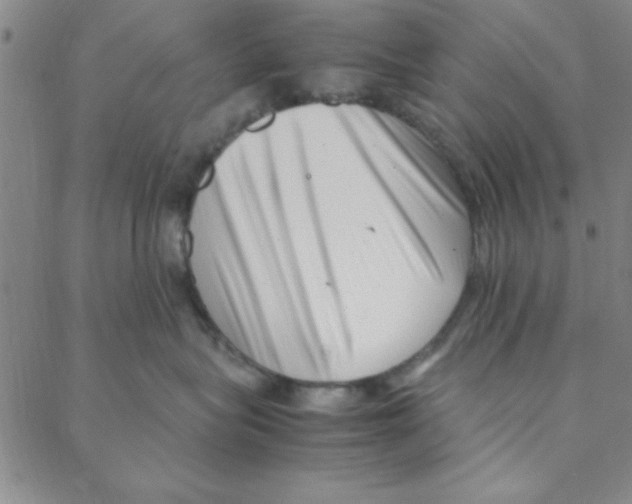 X0000088360575200706191221