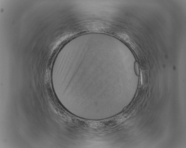 X0000088360579200706191220