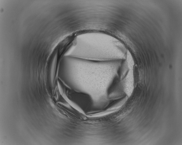 X0000088360580200706191220