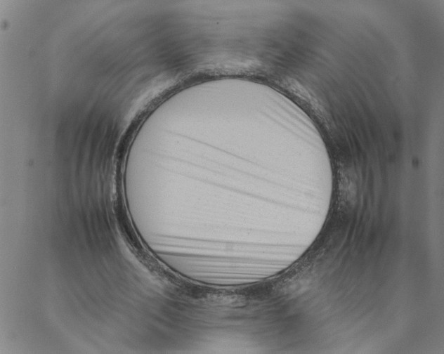 X0000088360582200706191220