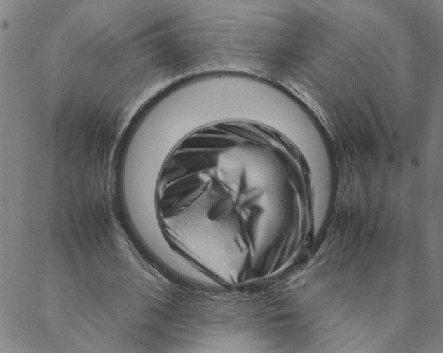 X0000088360584200706191220