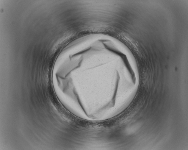 X0000088360586200706191220