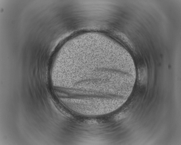 X0000088360588200706191220