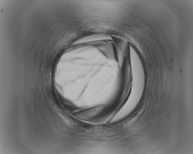 X0000088360589200706191220