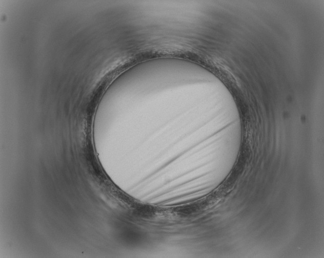 X0000088360591200706191220