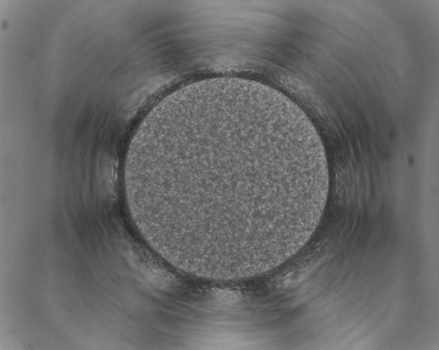 X0000088360592200706191220