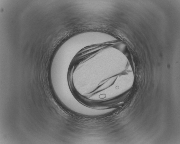 X0000088360593200706191220