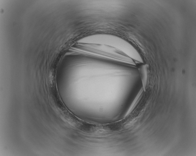 X0000088360597200706191220