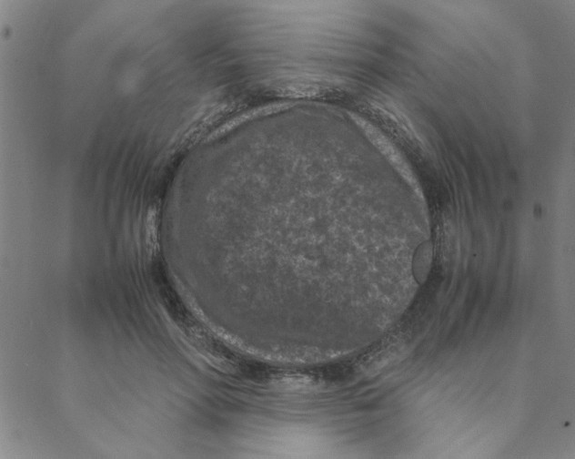X0000088360598200706191220