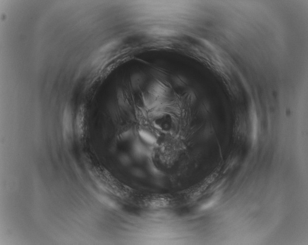 X0000088360600200706191220
