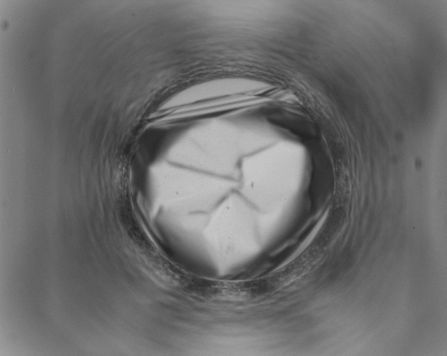 X0000088360601200706191220