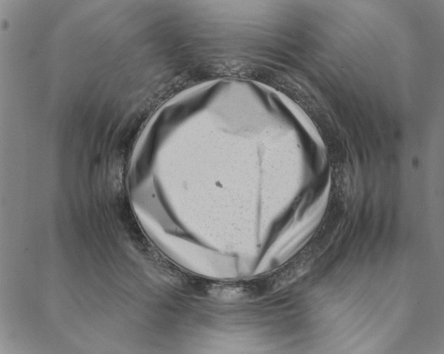 X0000088360602200706191220