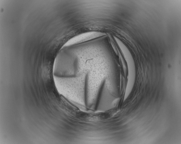 X0000088360604200706191220