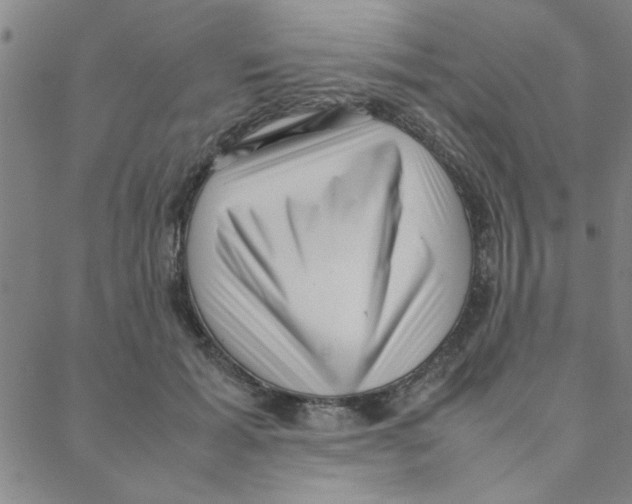 X0000088360605200706191220