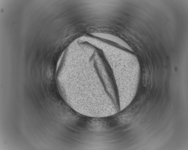X0000088360608200706191220