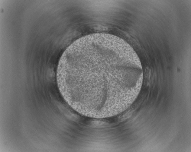 X0000088360614200706191220