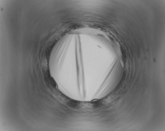 X0000088360617200706191220