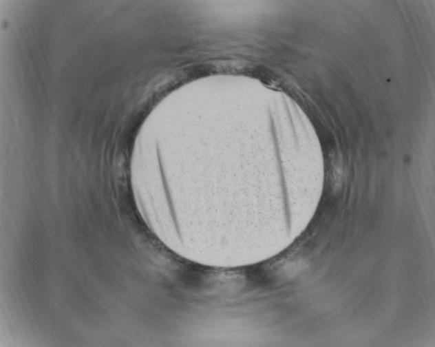 X0000088360619200706191220