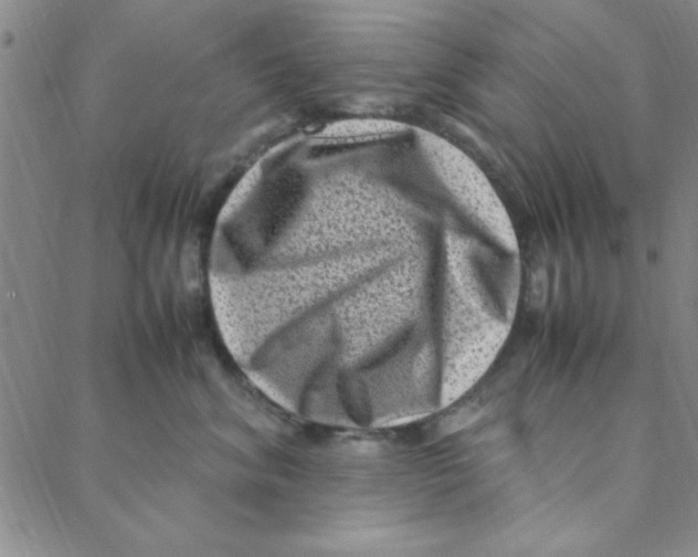 X0000088360620200706191220