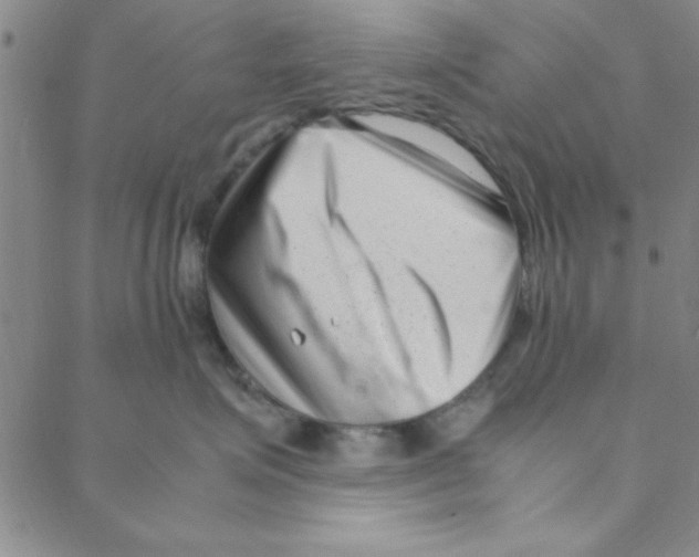 X0000088360623200706191220
