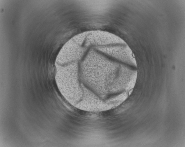 X0000088360624200706191220