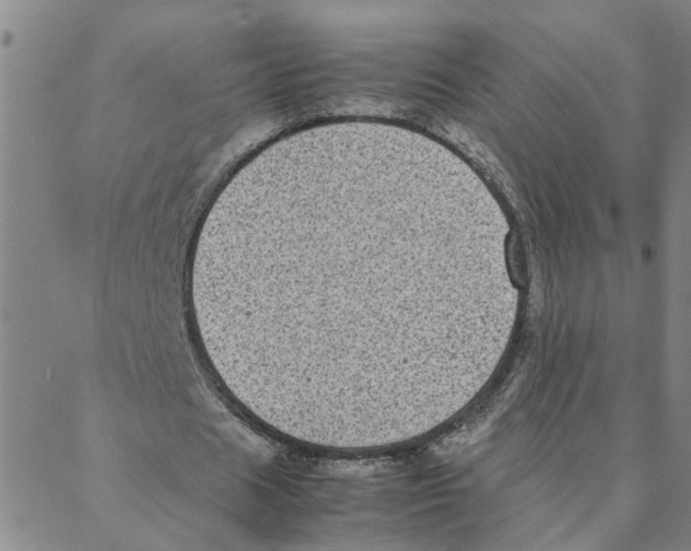 X0000088360625200706191219