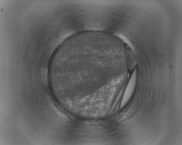 X0000088360627200706191219