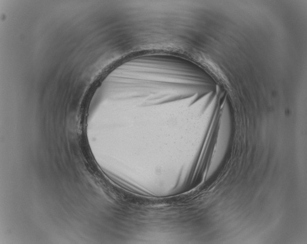 X0000088360628200706191219