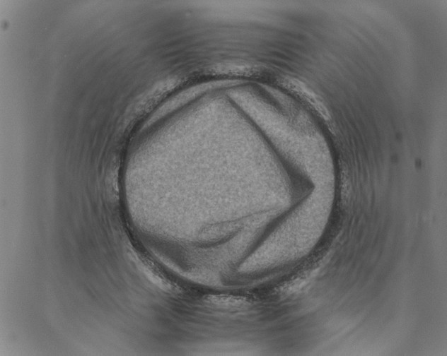 X0000088360633200706191219