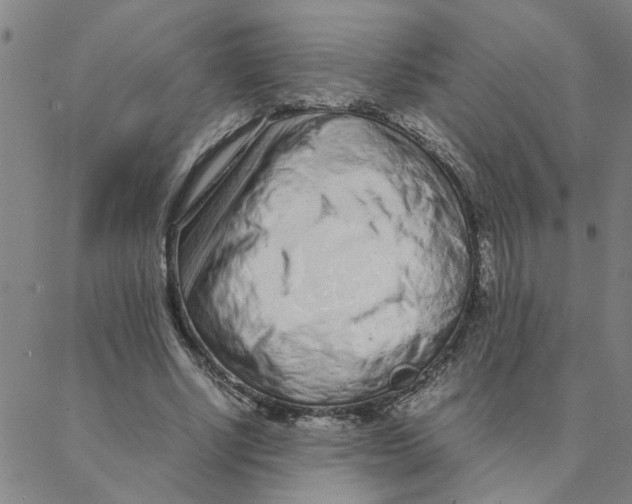 X0000088360634200706191219