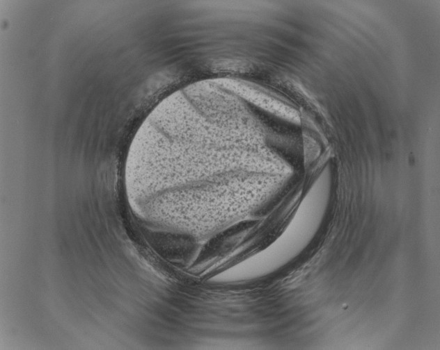 X0000088360637200706191219