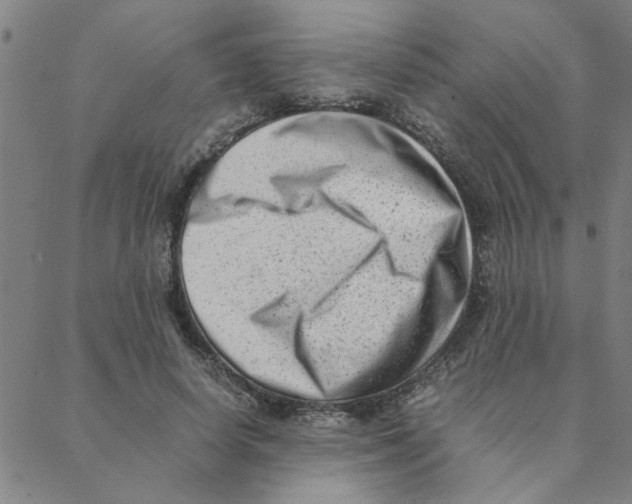 X0000088360642200706191219
