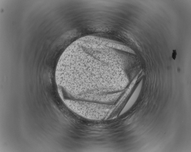 X0000088360643200706191219