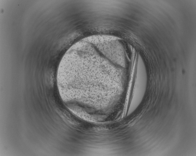 X0000088360644200706191219