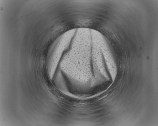 X0000088360647200706191219