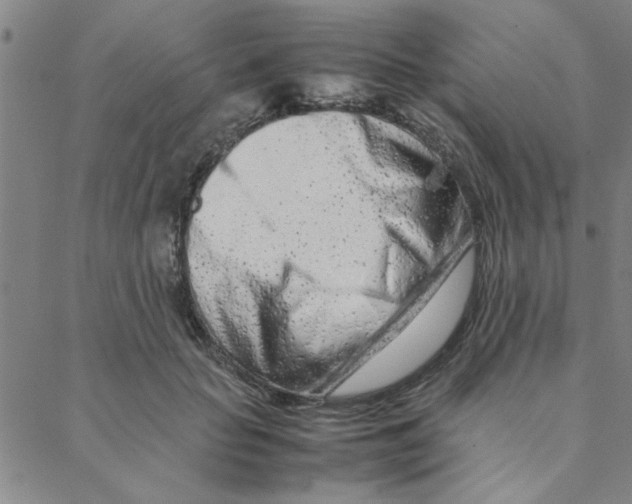 X0000088360653200706191219