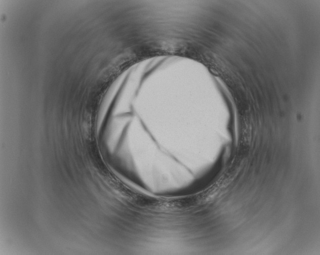 X0000088360656200706191219
