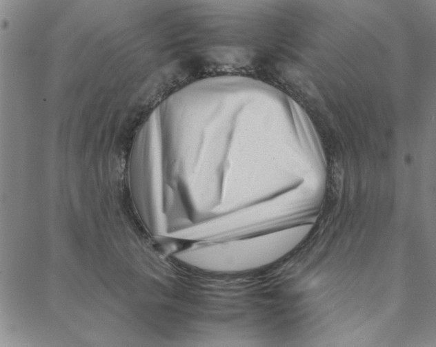 X0000088360657200706191219