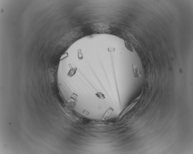 X0000088360658200706191219