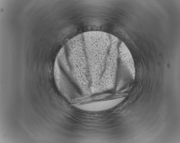 X0000088360661200706191219