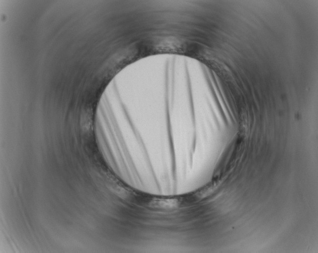 X0000088360665200706191219