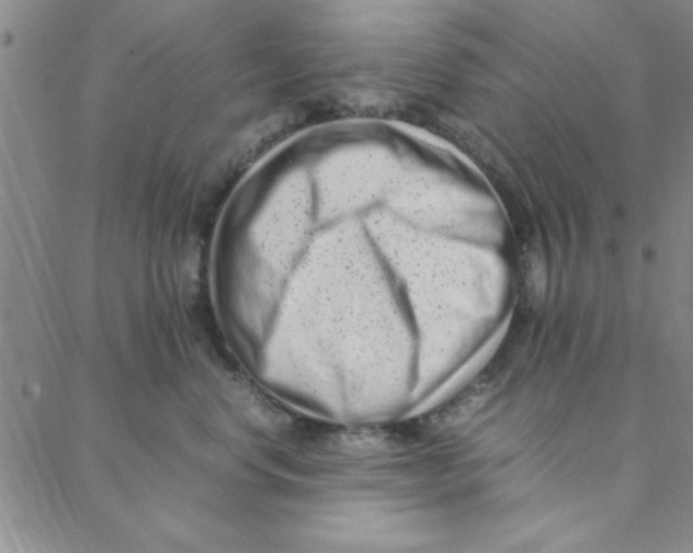X0000088360668200706191220