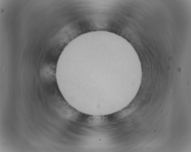 X0000088360672200706191220