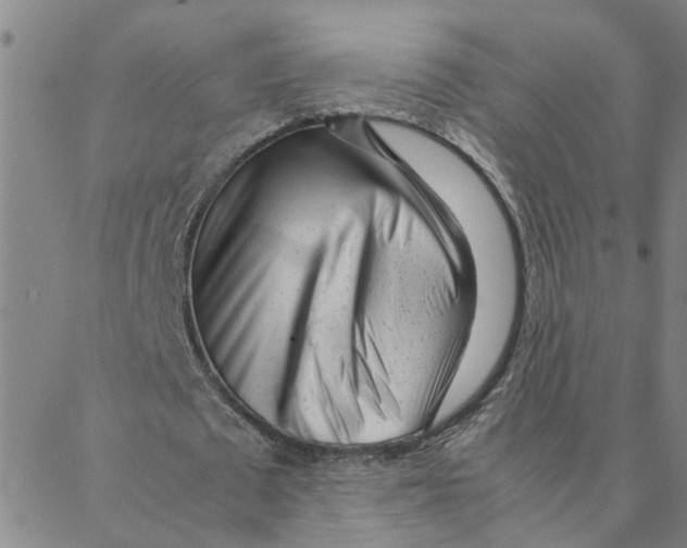 X0000088360673200706191219