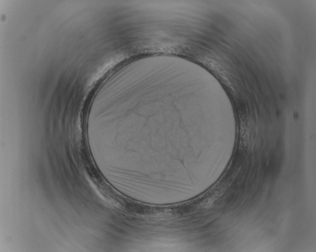 X0000088360674200706191219