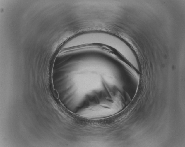 X0000088360677200706191219