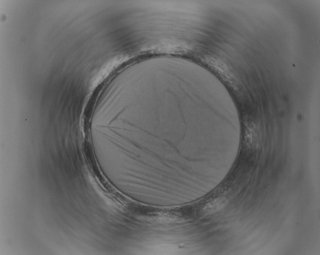 X0000088360678200706191219