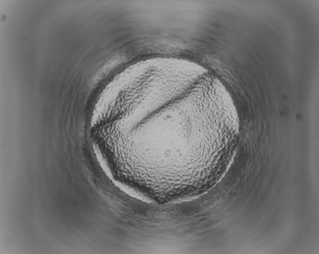 X0000088360679200706191219
