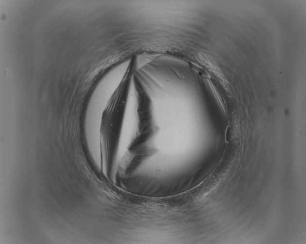 X0000088360681200706191219