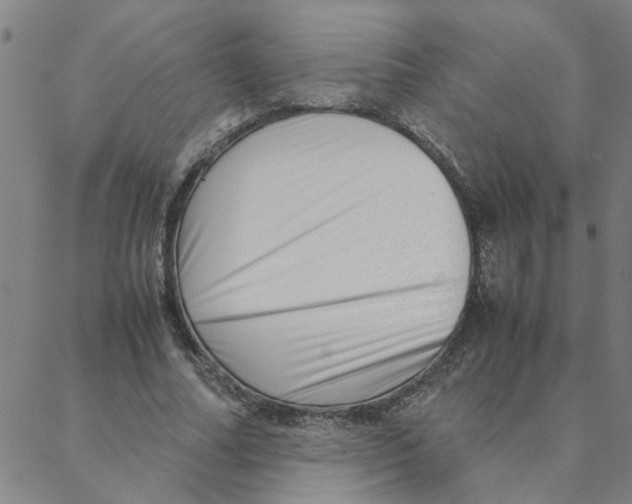 X0000088360682200706191219